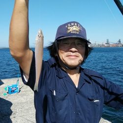 播磨新島でシーズン最大のキスが釣れました