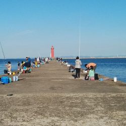 海水の汚れが気になります