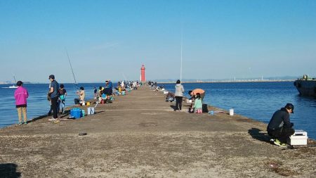 海水の汚れが気になります