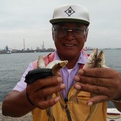 播磨新島８連投