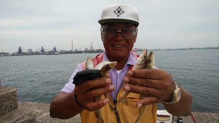 播磨新島８連投