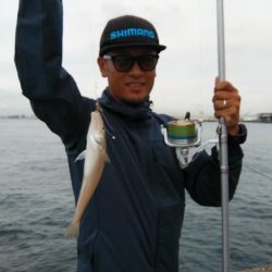 早朝から播磨新島へキス調査