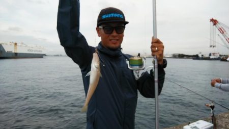 早朝から播磨新島へキス調査