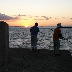 １６時から播磨新島へキス調査