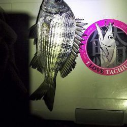 アジをねらうと、違う魚が釣れました。