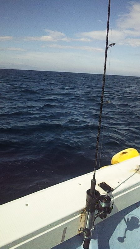 座布団まであと一歩