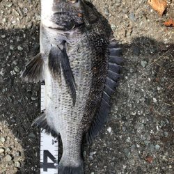 イチノ兄弟、釣果!