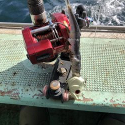 初めてのタチウオ乗合船