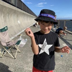 家族でサビキ釣り