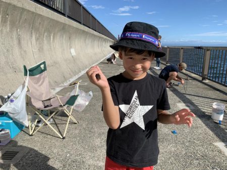 家族でサビキ釣り