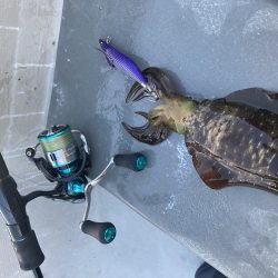 手漕ぎボートでティップラン