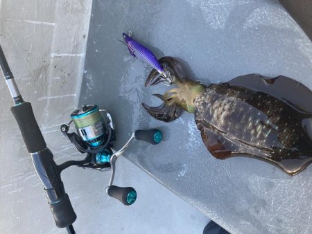 手漕ぎボートでティップラン