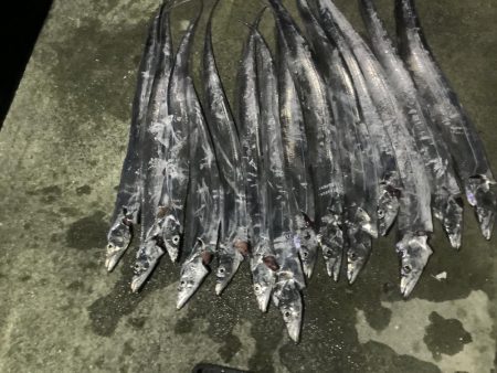 太刀魚釣れたよ