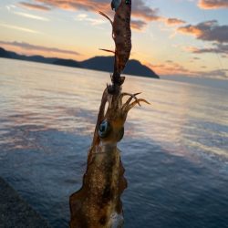 早く大きくな～れ！