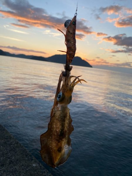 早く大きくな～れ！