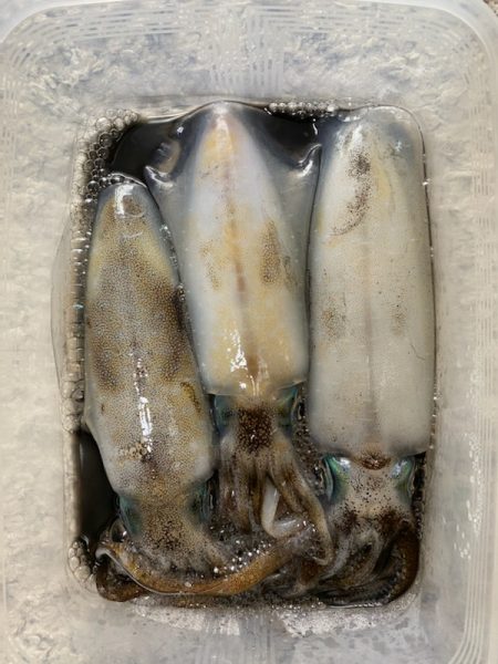 エギロストの犯人は・・・