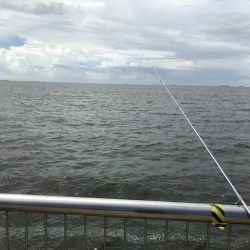 ゼンメ、アナゴ