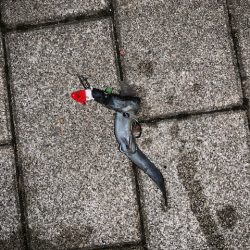 タチウオ　つ抜けだけどベルト