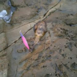 小場所の様子見