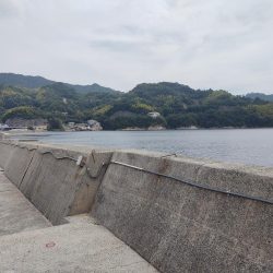 サナギでヒット 室尾西の波止