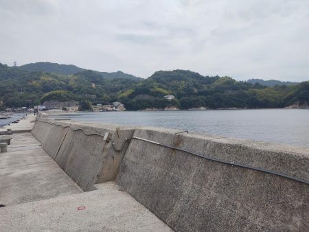 サナギでヒット 室尾西の波止