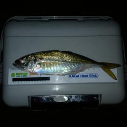 涼しくなったので