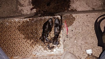 人がいっぱいなんです