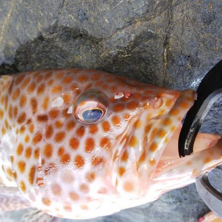 キャンプついでの釣り!