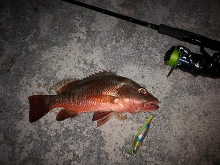 １ヶ月ぶりの釣果