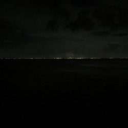 人生最大サイズのシーバスゲット!