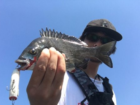 ポーズでRIDE ON!!