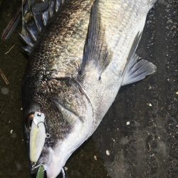 佐世保エリア河川でRIDE ON！