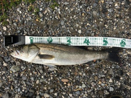 ライド オン パレード!