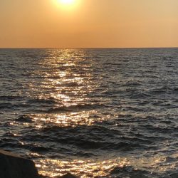 2020 佐渡ヶ島エギング 15回目