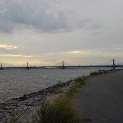 久しぶりに長良川河口調査