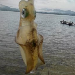 朝寝坊で導かれた？