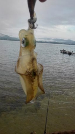 朝寝坊で導かれた？