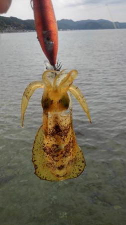 連休に連チャン調査