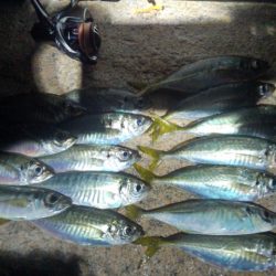 フロートゲーム