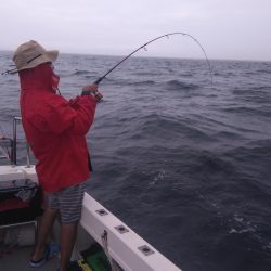 遊漁船SOUTH 9/11釣果