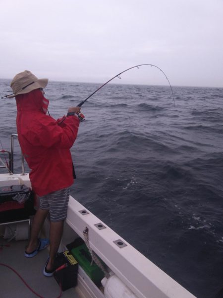 遊漁船SOUTH 9/11釣果