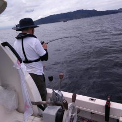 遊漁船SOUTH 9/13釣果