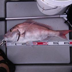 遊漁船SOUTH9/20釣果