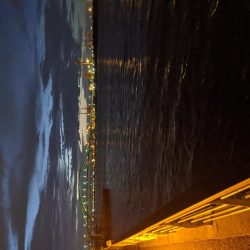 久しぶりのサバゲー