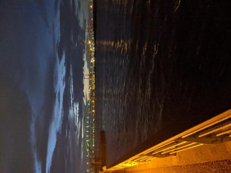 久しぶりのサバゲー