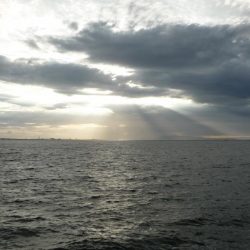 やっぱり人が多い人工島