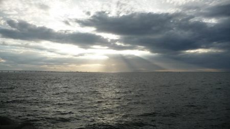 やっぱり人が多い人工島