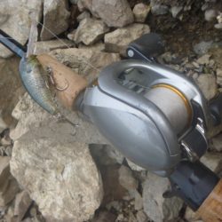 少し涼しくなったが