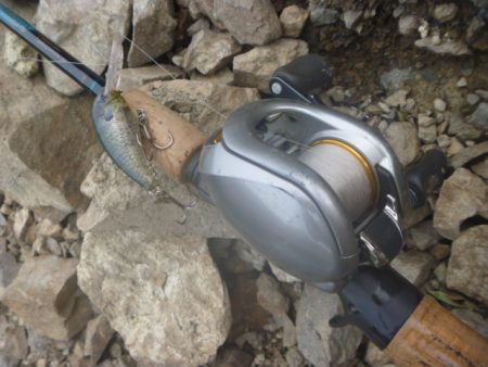 少し涼しくなったが