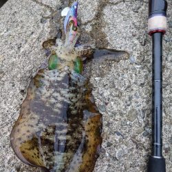 型が良くなってきた